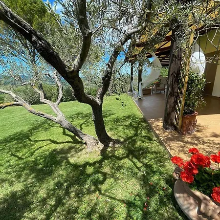 Villa Vino Sole Vinoexc Poolslps 14 *