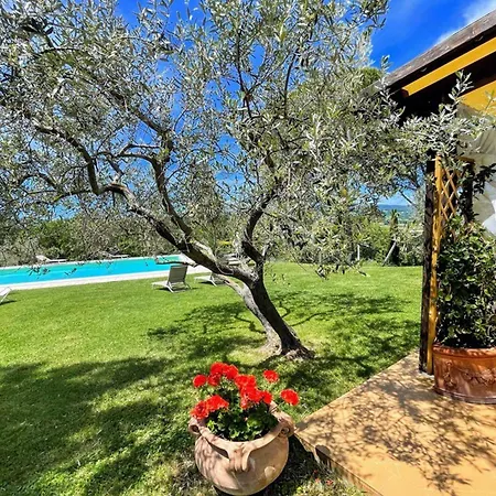 Vino Sole Vinoexc Poolslps 14 Villa Belvedere (Perugia)