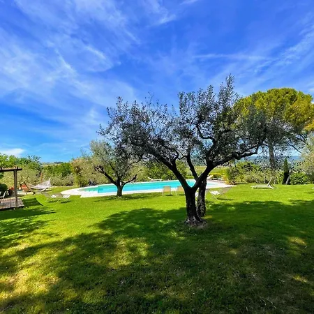 Vino Sole Vinoexc Poolslps 14 Belvedere (Perugia)